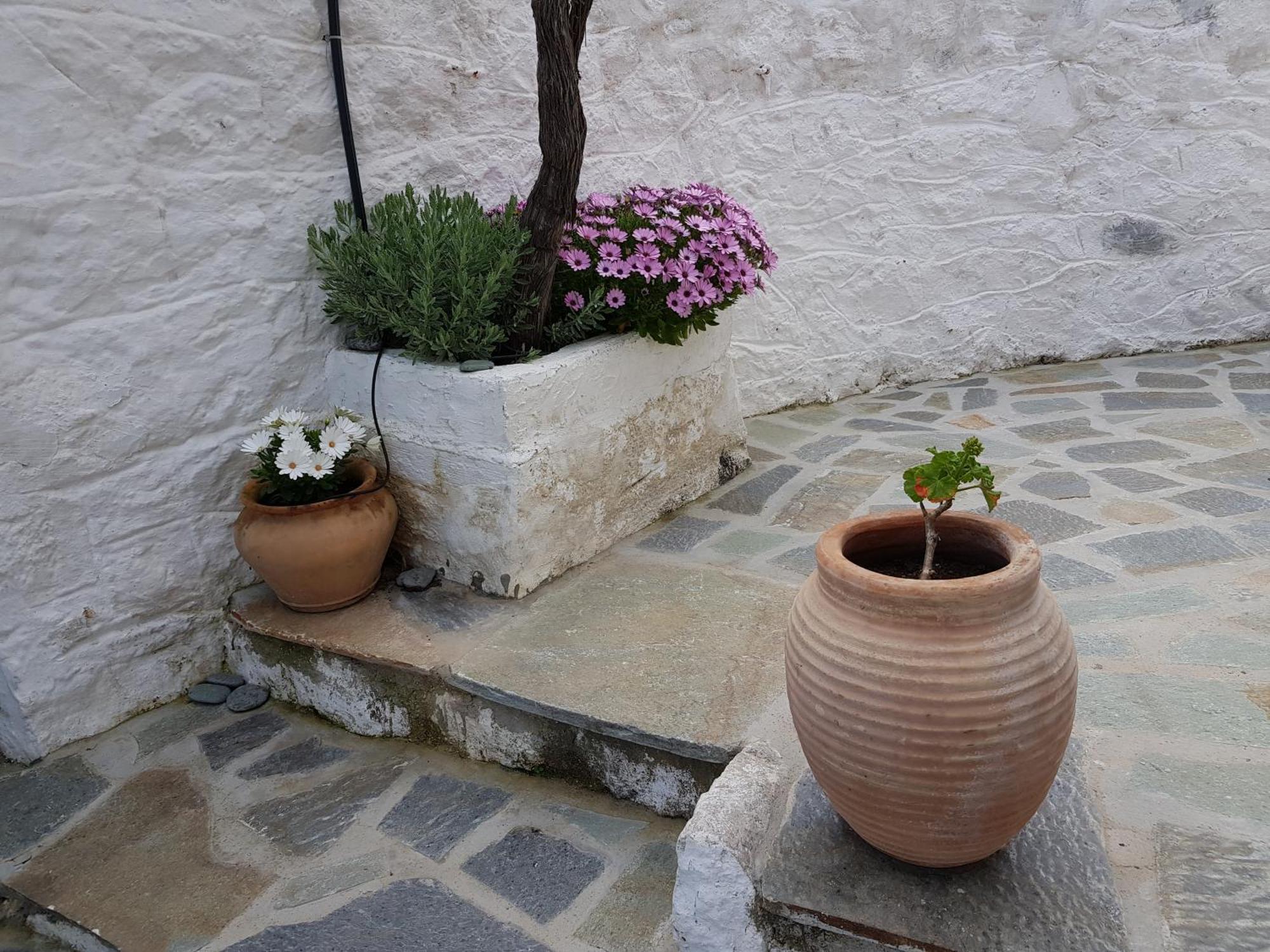 Lovely Traditionnal House With Sea View Tirós Eksteriør bilde